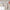 5pcs Child Safety Lock Transparent Anti-Opening Soft Strap Safety Lock Multi-functional Baby Drawer Refrigerator Lock
