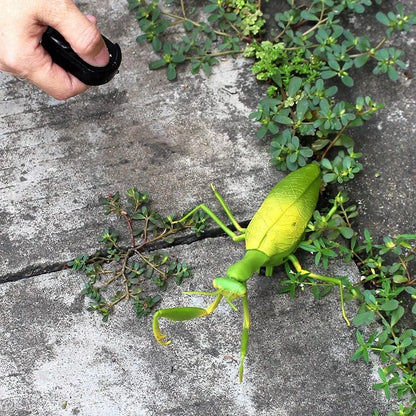 Infrared RC Antistress Insect Toys – Simulation Spider, Bee, Fly, and Mantis for Kids