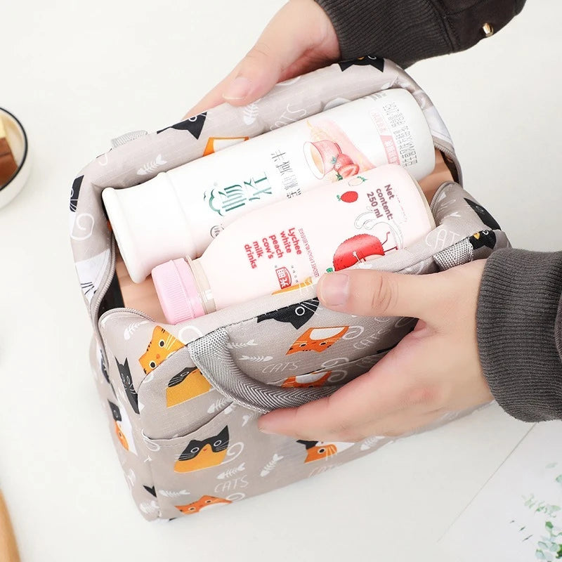 Cartoon Insulated Lunch Bag for Kids - Portable Thermal Heat Bento Box, Picnic Tote, School Lunch Box, Cooler with Ice Pack - Kidzy Market