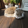 Realistic Mini Plush Cat Doll - 8.27 x 6.69 x 2.76 in (21 x 17 x 7 cm) Simulation Animal Toy & Car Ornament
