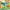 Dinosaurs, Ducks, Sharks Water Sprinkler and Gun Toy Set – Family Pool and Beach Fun