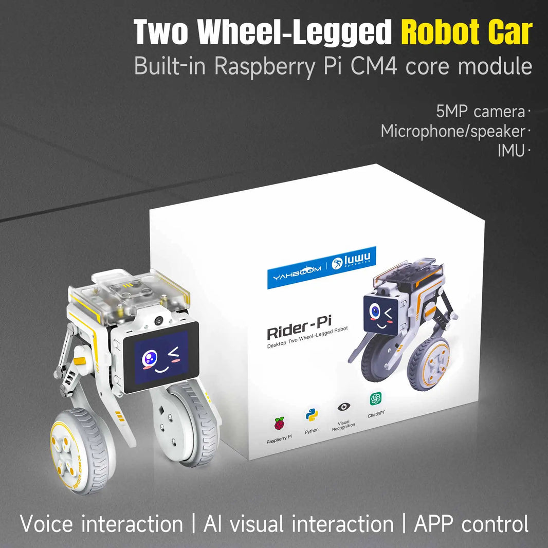 Rider-Pi AI Visual Robot, Two-Wheel Smart Car Toy with IMU Module, Python Programming, ChatGPT Voice Interaction