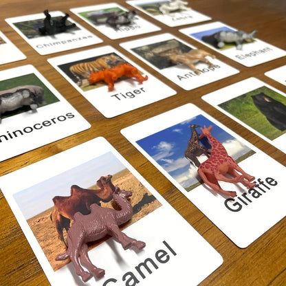 Montessori Animal Matching Cards - Language Learning Cognitive Toy for Kids, Insect Farm Zoo, Educational Preschool Toy for 1-2 Years Old Toddlers