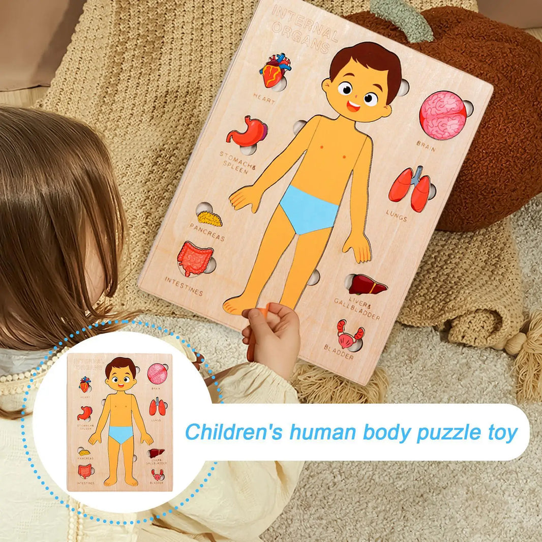 Montessori Human Anatomy Jigsaw Puzzle – Organ Model Educational Toy for Kids, Learning and Travel Toy for Toddlers