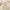 Baby Girl Floral Jumpsuit – Tie-Up Suspender Overalls Romper (Summer Outfit, 0-24 Months, 2024 New)