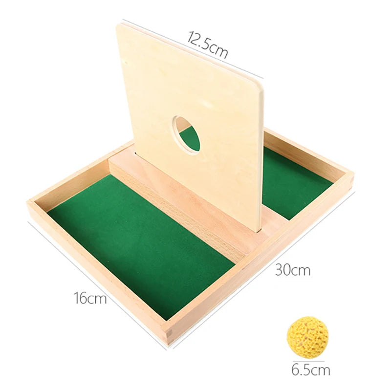 Wooden Montessori Baby Toy – Object Permanence Coin Box and Ball Drop for Sensory, Fine Motor Skills, and Early Education, Ages 1-3 Years