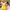Pokemon Pikachu Plush Toy Cute Stuffed Pillow