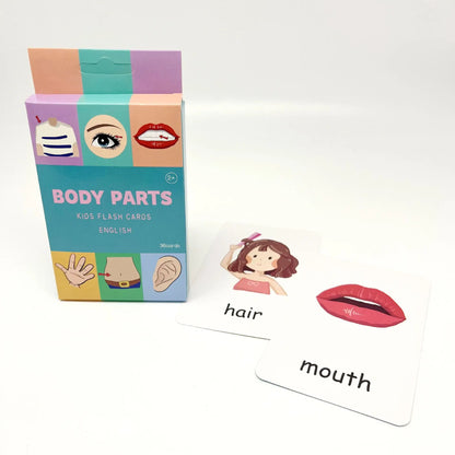 Montessori Alphabet Flashcards for Kids – 36 Cards, 8 Themes, Educational Learning Toy for Reading and Writing (Ages 3-14)