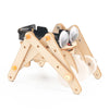 DIY Wooden STEM Kit for Teens - Buildable Dinosaur & Car Model Educational Science Puzzle (Ages 14+)
