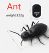 Infrared RC Spider and Ant Toy – Remote Control Cockroach Trick for Kids, Novelty Gift