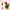 Eternal Bouquet Micro Building Blocks – DIY Flower Model Brick Toy for Kids, Home Desk Decoration