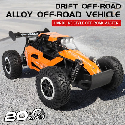 ZWN 1:16/1:20 RC Car with LED Light and 2WD Off-Road Climbing Remote Control