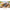 150-Piece Mini Test Tube Jigsaw Puzzle – Famous Painting & Landmark Fidget Toy, Mini Decoration