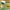 Dinosaurs, Ducks, Sharks Water Sprinkler and Gun Toy Set – Family Pool and Beach Fun