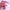 15cm Kawaii Pink Cat Plush Keychain, Animal Doll Pendant for Car and Bag Decoration