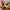 Multi-Layer Kitchen Scissors Stainless Steel Vegetable Cutter Herb Laver Cooking Tool