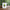 Cute Avocado Porcelain Coffee Mug - Cartoon Green Avocado Breakfast & Juice Cup, 11 oz (320 ml)