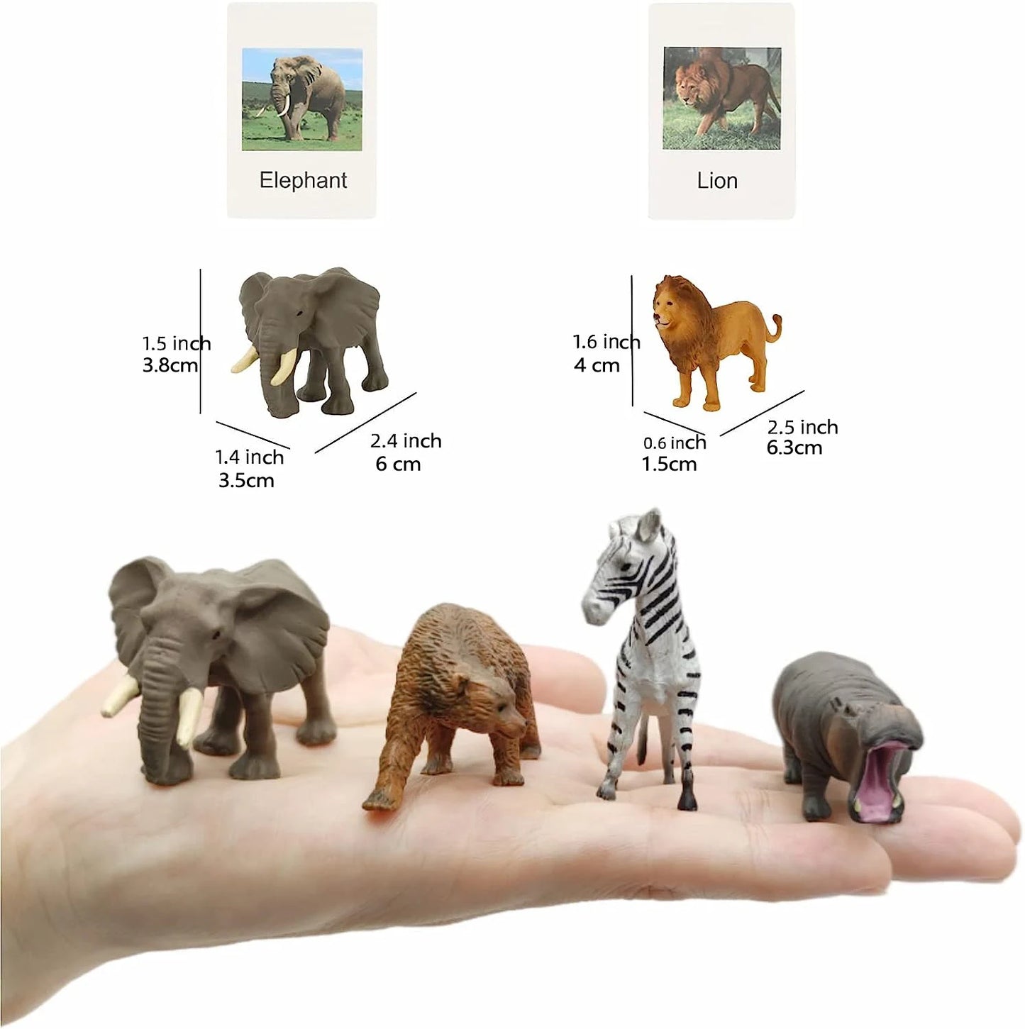 Montessori Animal Matching Cards - Language Learning Cognitive Toy for Kids, Insect Farm Zoo, Educational Preschool Toy for 1-2 Years Old Toddlers