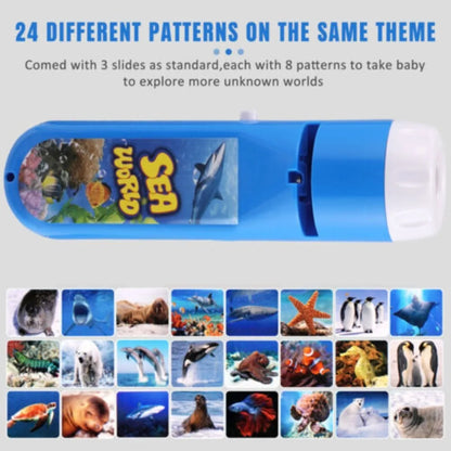 Kids Dinosaur Projection Flashlight Night Light - Educational Bedtime Star Sky Projector (5.12 in / 13 cm)