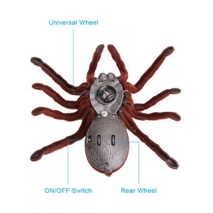 JSXuan Realistic Infrared Remote Control Spider Toy - 2-Channel RC Prank (6.3 x 6.7 x 2 in / 16 x 17 x 5 cm)