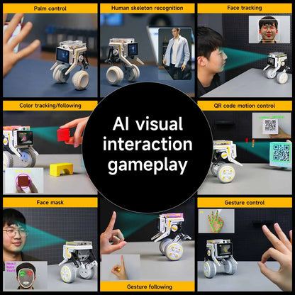Rider-Pi AI Visual Robot, Two-Wheel Smart Car Toy with IMU Module, Python Programming, ChatGPT Voice Interaction
