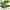 Technical Racing Car Building Blocks – Static Model or Optional RC Version Construction Toy