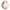 WORTHBUY Mini Capybara Insulated Lunch Cooler Bag