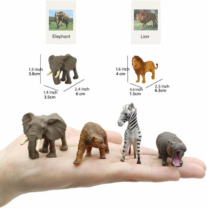 Montessori Animal Matching Cards - Language Learning Cognitive Toy for Kids, Insect Farm Zoo, Preschool Educational Toy for 1-2 Years Old Toddlers