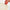 Pizza Pastry Cutter Wheel Roller Plastic Lattice Cutter 10.5 x 8 cm (4.1 x 3.1 in)