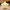 Luminous Star Plush Pillow 24x22cm (9.4x8.7 Inches) LED Light