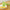 Handheld Fruit and Vegetable Slicer Clip with Plastic Blade for Orange Lemon Tomato Onion