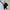 Kawaii Black Cat Plush Fashion Shoulder Bag – Cute Fur Crossbody and Phone Coin Purse for Women