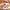 Dumpling Mold Dough Press Ravioli Maker Plastic Pastry Tool
