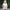 Plus Size Funny Maternity T-Shirt Baby on Board Pattern Print Pregnant Woman Tops, Pregnancy Short Sleeve T-Shirt Clothes