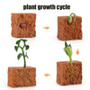 Animal & Plant Life Cycle Board Montessori Teaching Set - Preschool Science Model Kit for Kids