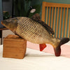 Funny Fish Plush Toy 30–100cm (11.8–39.4 Inches)