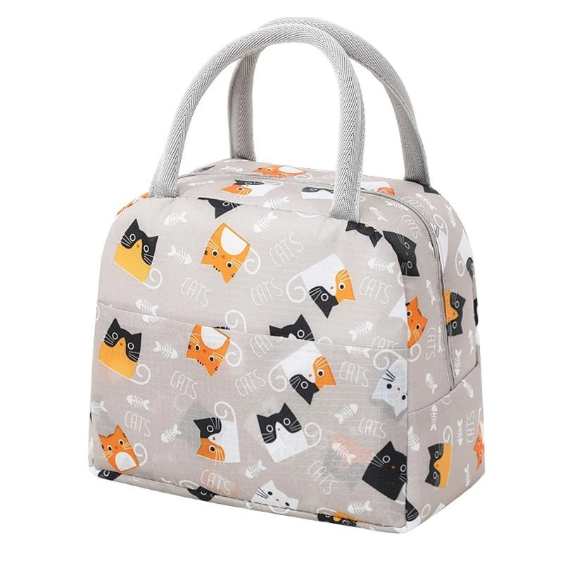Cartoon Insulated Lunch Bag for Kids - Portable Thermal Heat Bento Box, Picnic Tote, School Lunch Box, Cooler with Ice Pack - Kidzy Market