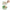 Rotating Portable Fruit Cleaner Bowl Vegetable Spinner Dryer Manual Lettuce Washer Kitchen Drainer Basket