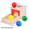 Wooden Montessori Baby Toy – Object Permanence Coin Box and Ball Drop for Sensory, Fine Motor Skills, and Early Education, Ages 1-3 Years