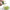 Heavy Duty Spiralizer Vegetable Slicer Zucchini Pasta Noodle Maker