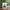 Cute Avocado Porcelain Coffee Mug - Cartoon Green Avocado Breakfast & Juice Cup, 11 oz (320 ml)