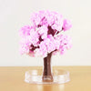 DIY Crystal Growing Cherry Blossom Paper Tree – Magic Sakura Desktop Decoration & Kids Craft