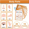 Montessori English Words Learning Cards – Early Education Teaching Aids for Kids and Classroom Use