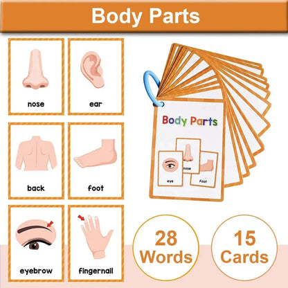 Montessori English Words Learning Cards – Early Education Teaching Aids for Kids and Classroom Use