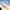P51 Mustang RC Plane 2.4G 4CH 6-Axis 410mm (16.1 Inches) Wingspan Foam Fighter One-Key Aerobatic RTF