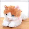 Plush Cat Pillow - Soft Stuffed Animal & Sofa Cushion, 30/40 cm (12/16 in)