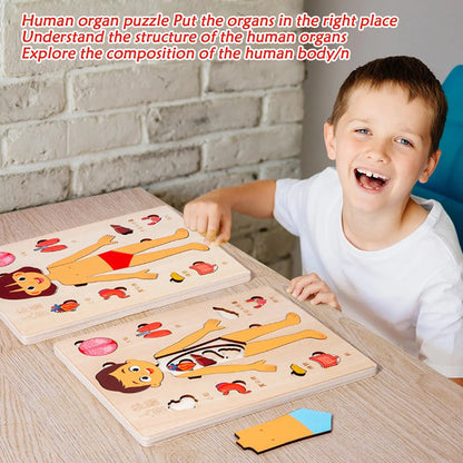 Montessori Human Anatomy Jigsaw Puzzle – Organ Model Educational Toy for Kids, Learning and Travel Toy for Toddlers