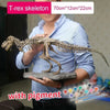 Large DIY T-Rex Dinosaur Skeleton Model Kit – 70 cm (27.6 in) Assembled Fossil Ornament Toy for Kids