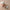 2Pcs Newborn Photography Outfit Set – Cap & Suspenders Studio Photo Props, Baby Hat & Overalls Accessories for Fotografia