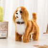 New Simulation Electric Pet Dog with Voice Control, Walking, Nodding, Music, and Touch, Robot Plush Toy Gift for Children